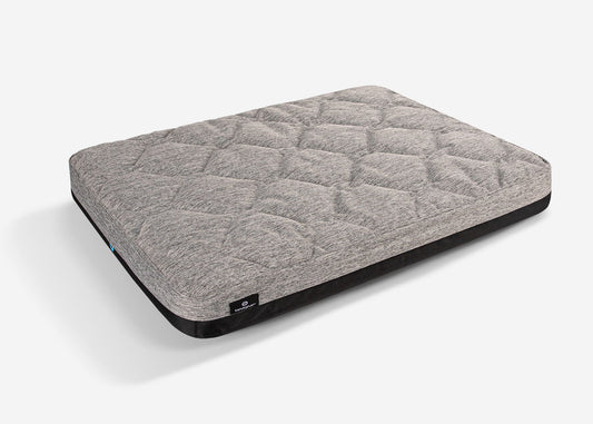 Performance - Medium / Large Dog Bed - Gray