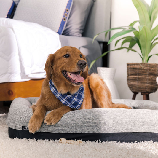 Performance - X-Large Dog Bed - Gray