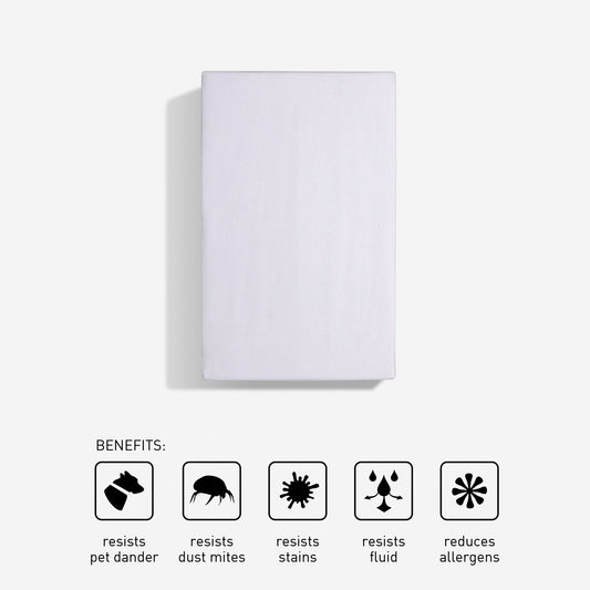 iProtect - Sofa Bed Mattress Protector - Queen X-Wide
