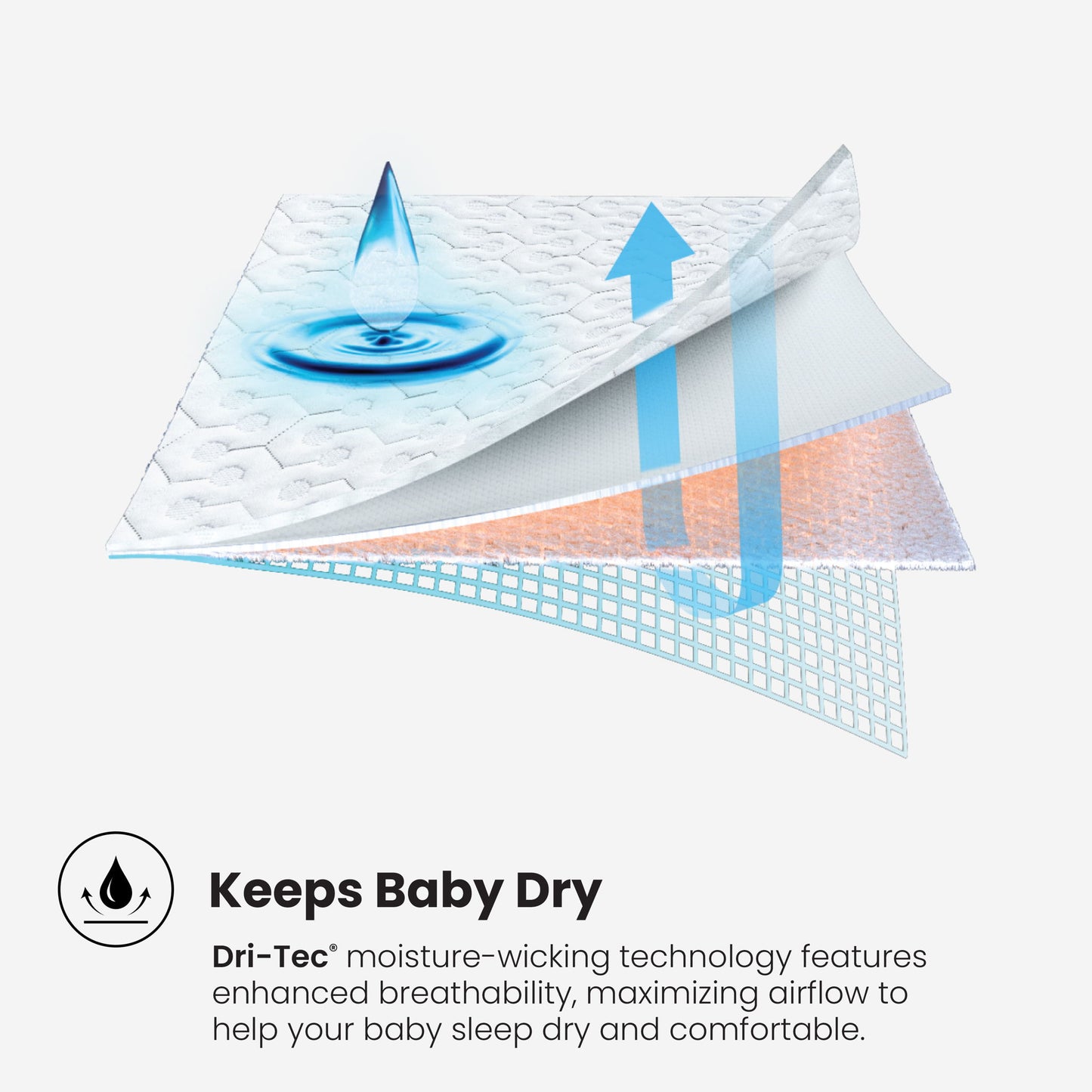 Dri-Tec - Mattress Protector