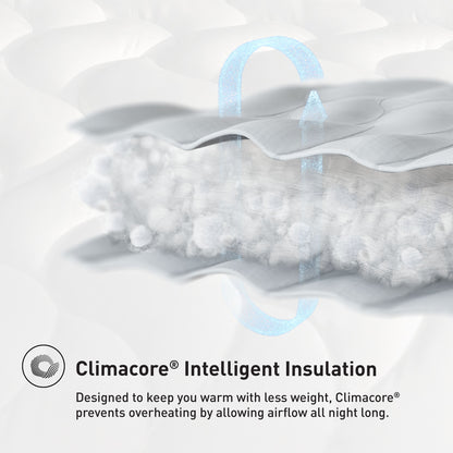 Performance - Light Weight Comforter