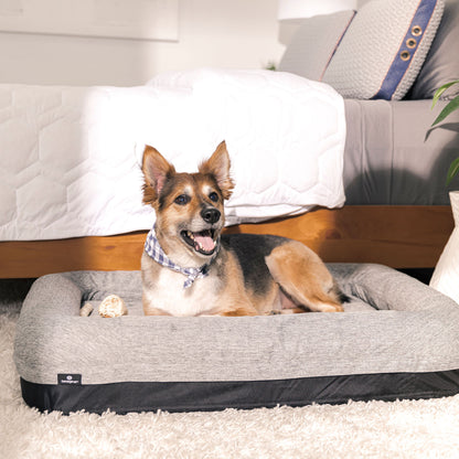 Performance - X-Large Dog Bed - Gray