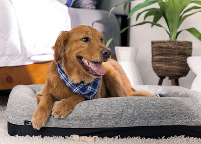 Performance - Medium / Large Dog Bed - Gray